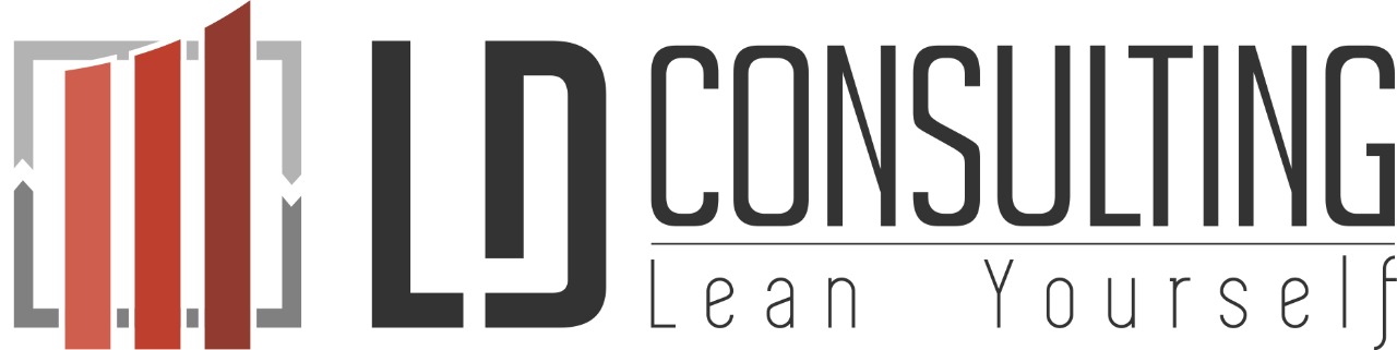 LD Consulting logo.jpeg