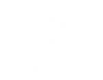 Sinpete 2024